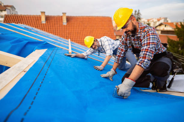 Roof Gutter Cleaning in Palm Coast, FL