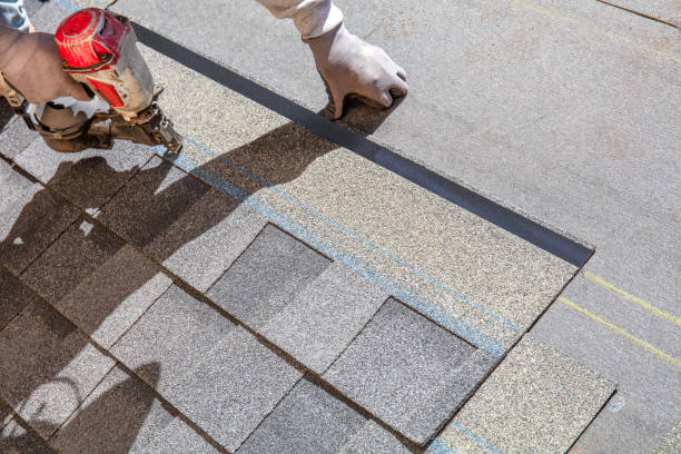 Quick and Trustworthy Emergency Roof Repair Services in Palm Coast, FL